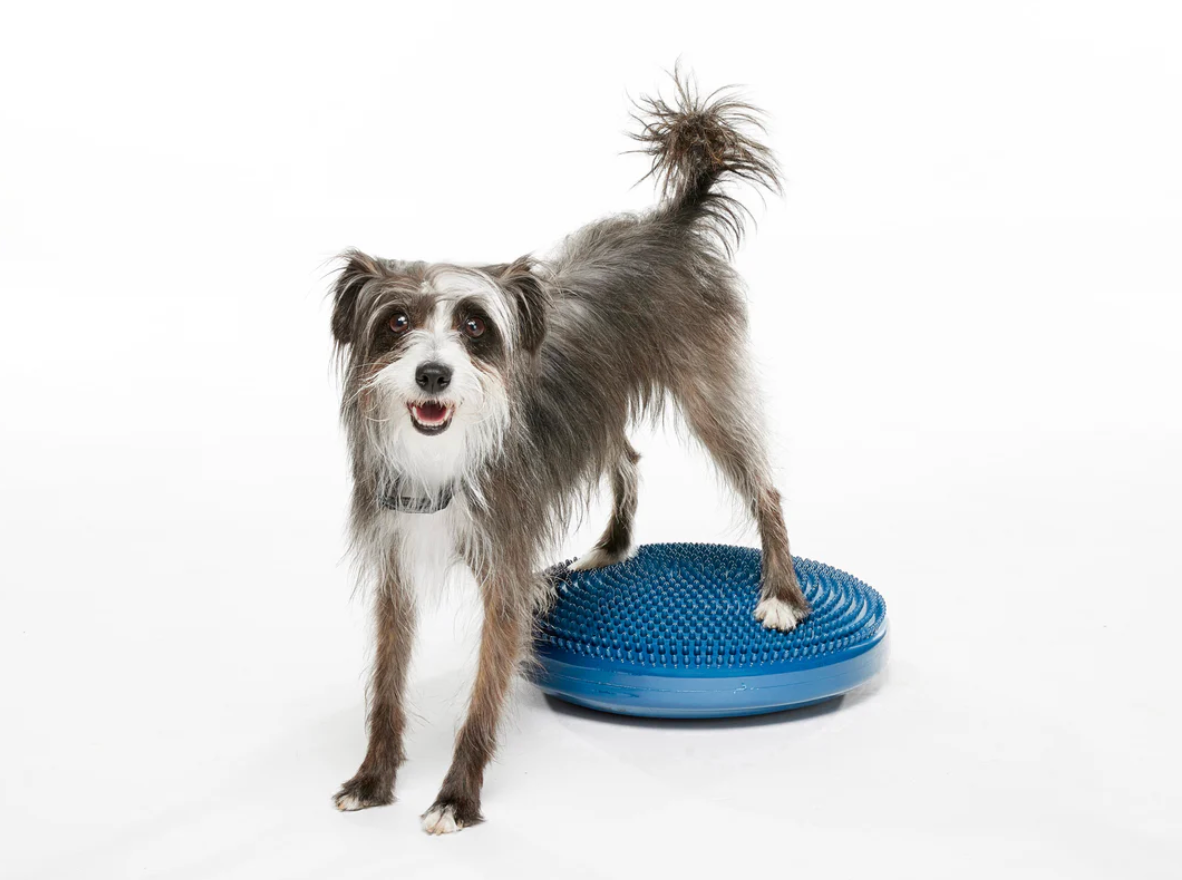 KYNETIC BALANCE DISCS