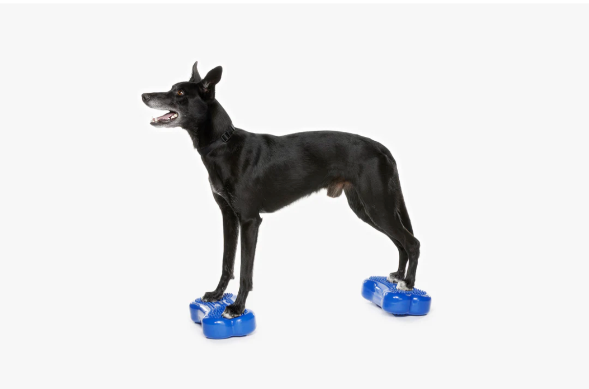 MINI THERABONE BALANCE TRAINING PLATFORM (SET OF 2)